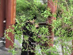 -大妙火锅·非物质文化遗产(东湖公园店)