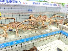 -大锅强·蒸海鲜青岛菜(金沙滩店)