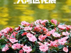-深圳市中科院仙湖植物园