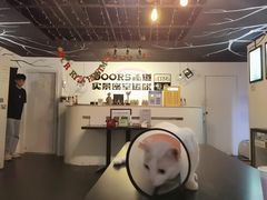 -Doors独立剧情密室(东门分店)