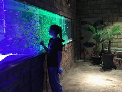 -zoonana室内动物园(东方福来德店)