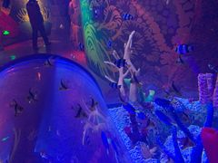 -沈阳海洋探索中心