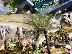 -湖南省地质博物馆