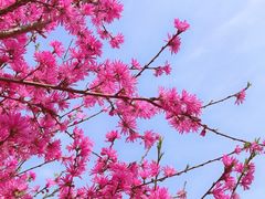 -白塘生态植物园