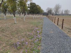 -汉长安城未央宫国家考古遗址公园