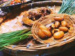 -昆虫窝子·特色云南菜(拓东路总店)