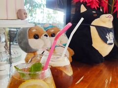 -柴犬高等学院·狗咖·柴犬售卖·宠物训练