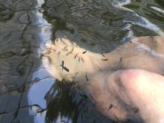 -龙达温泉生态城