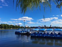 -长春市南湖公园