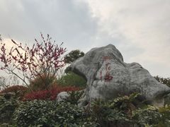 -桃花岛景观公园