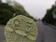 -北陵公园