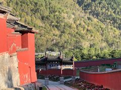 -五台山风景名胜区-罗睺寺