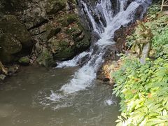 -莫里热带雨林景区
