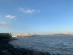 -吴淞炮台湾湿地森林公园烧烤区