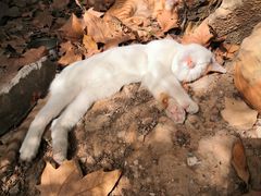 -南京特殊教育师范学院(燕子矶校区)