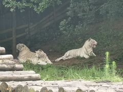-宁波野生动物园