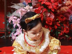 -北京宴(丰台总店)