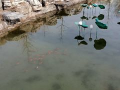 -河北省园博园
