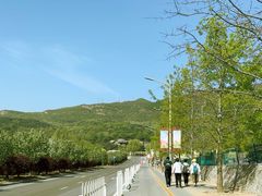 -北京西山国家森林公园