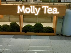 -茉莉奶白(广州动漫星城店)