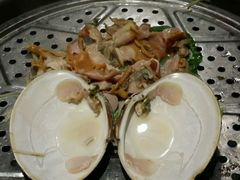 南极贝-船奇蒸汽海鲜·闽菜(八市海鲜总店)