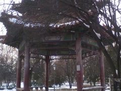 -曲阜师范大学(曲阜校区)