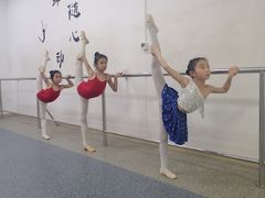 -快乐琴弦音乐舞蹈艺术教育中心(马连道校区)
