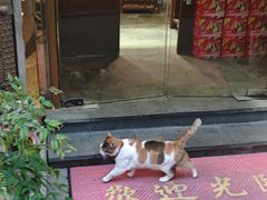 -老外街