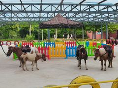 -渔岛海洋度假区