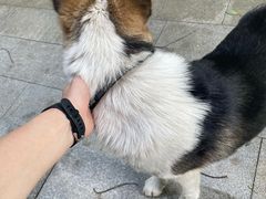 -东钱湖旅游度假区