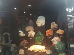 -烟台自然博物馆