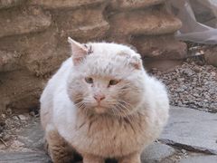 -老王太太串吧(中街店)