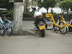 -薛昌利大米面皮(南关正街店)