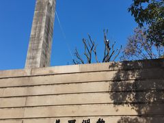 -美丽洲堂