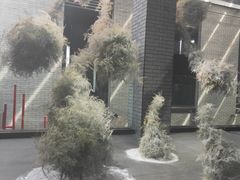 -成都许燎源现代设计艺术博物馆