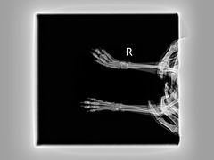 -萌兽医馆·宠物医院·猫骨科(创景店)