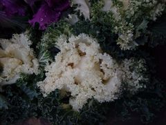 android_upload_pic-八大关景区
