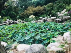 -富乐山