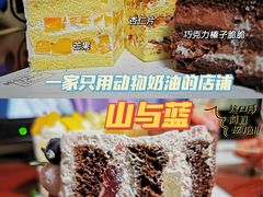 -山与蓝·轻糖鲜果蛋糕(勒泰店)