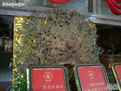 -金孔雀温泉旅游度假村