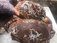 -蓝钻·国际美食海鲜自助百汇(西直门店)