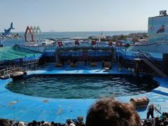 -海合安青岛极地海洋公园