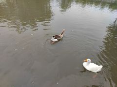 -金庭庄园酒店-停车场