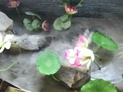 -秀水人家