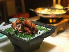 -绿茶餐厅