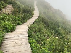 -白草畔自然风景区