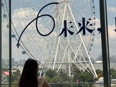 -南昌之星摩天轮