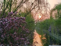 -元大都城垣遗址公园