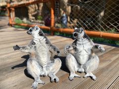 -北京野生动物园