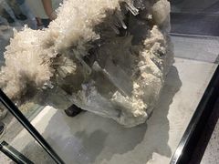 -河南自然博物馆